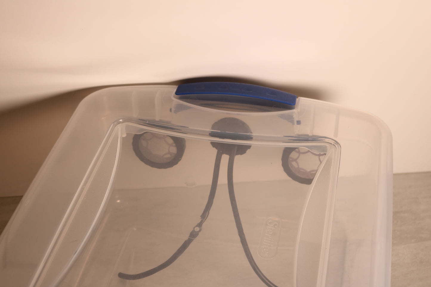 Ready-to-Use Isopod Bins – Now with a Maintenance Hatch!