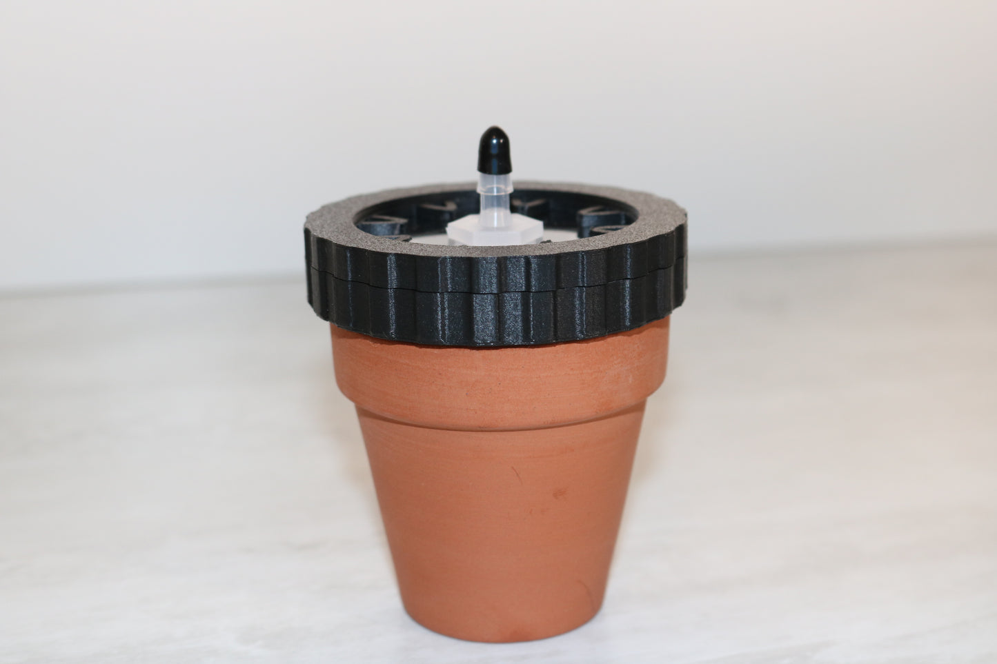 Terracotta Pod Wicks – The Perfect Hydration Solution for Isopods!