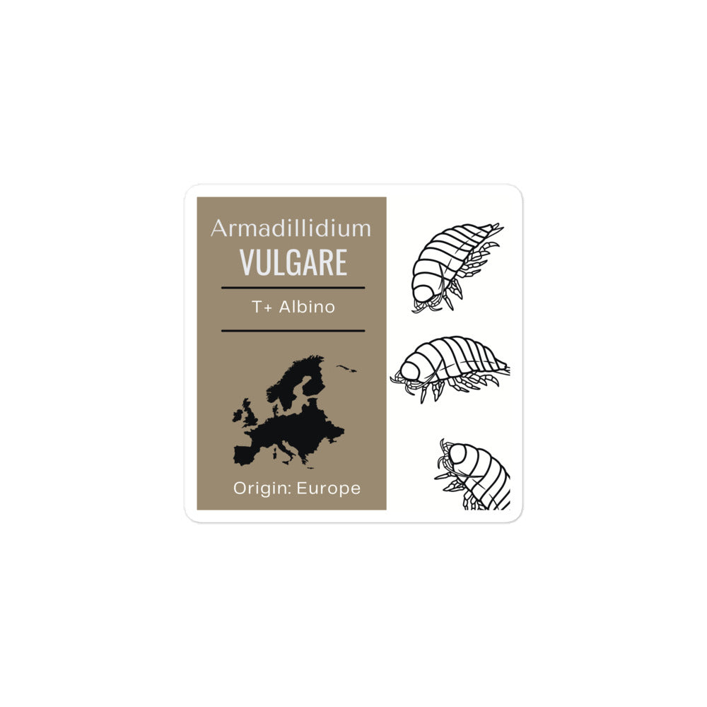 Label for Armadillidium vulgare - t+ Albino