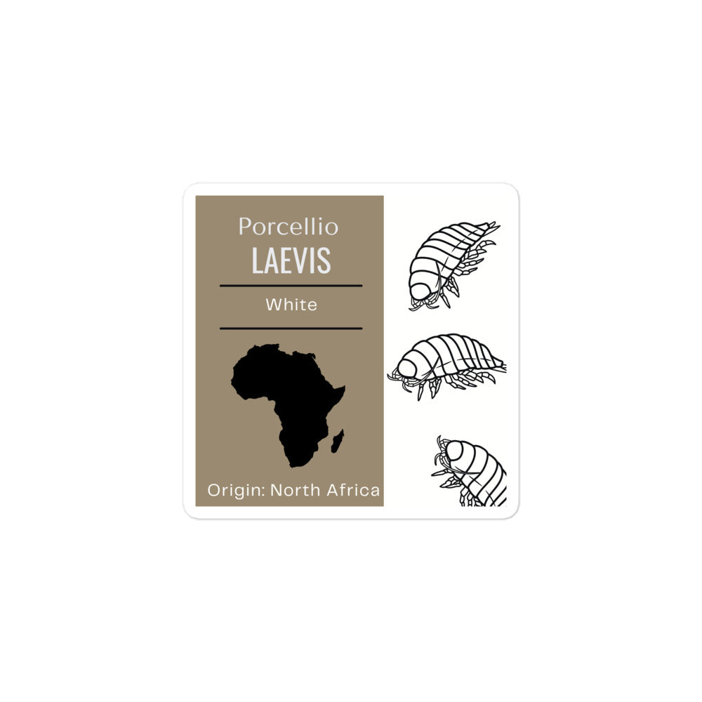 Label – P. laevis ‘White’ Isopods – Maritime Mantis