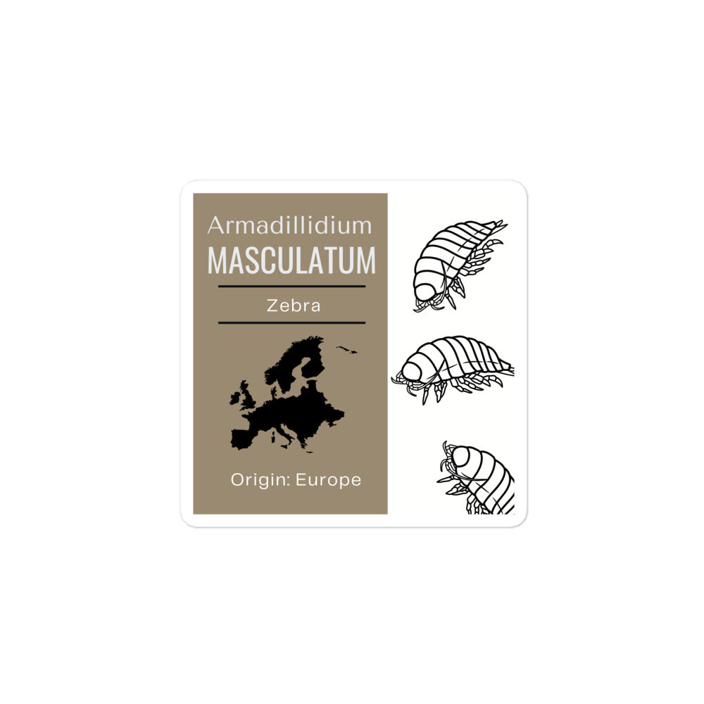 Label for Armadillidium masculatum - Zebra