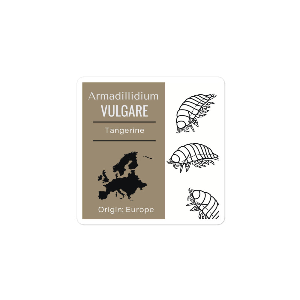 Label for Armadillidium vulgare - Tangerine