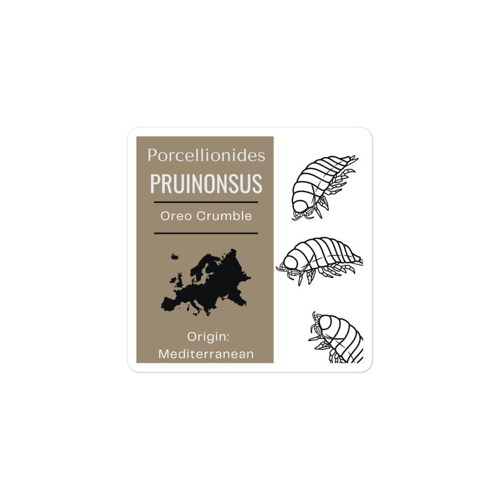 Label for Porcellionides pruinonsu - Oreo Crumble