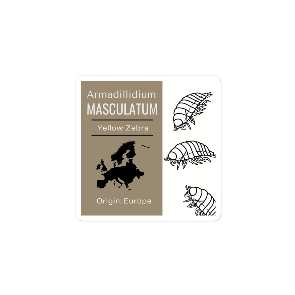 Label for Armadillidium masculatum - Yellow Zebra