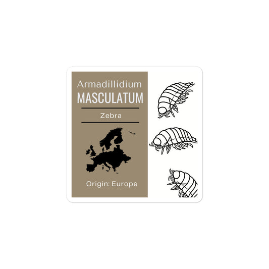 Label for Armadillidium masculatum - Zebra