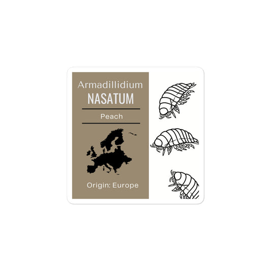 Label for Peach - Armadillidium nasatum