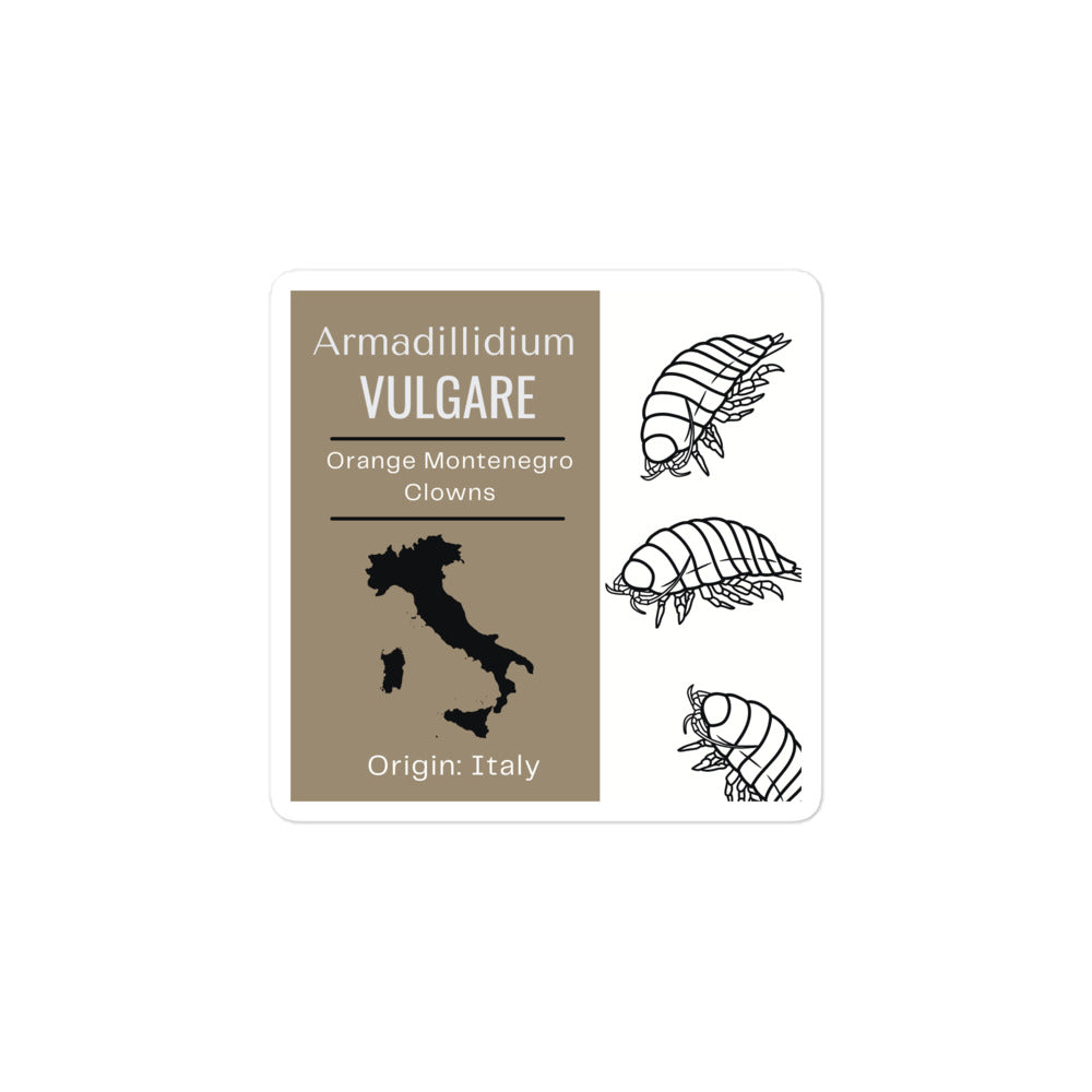 Label for Armadillidium vulgare - Orange Montenegro Clowns