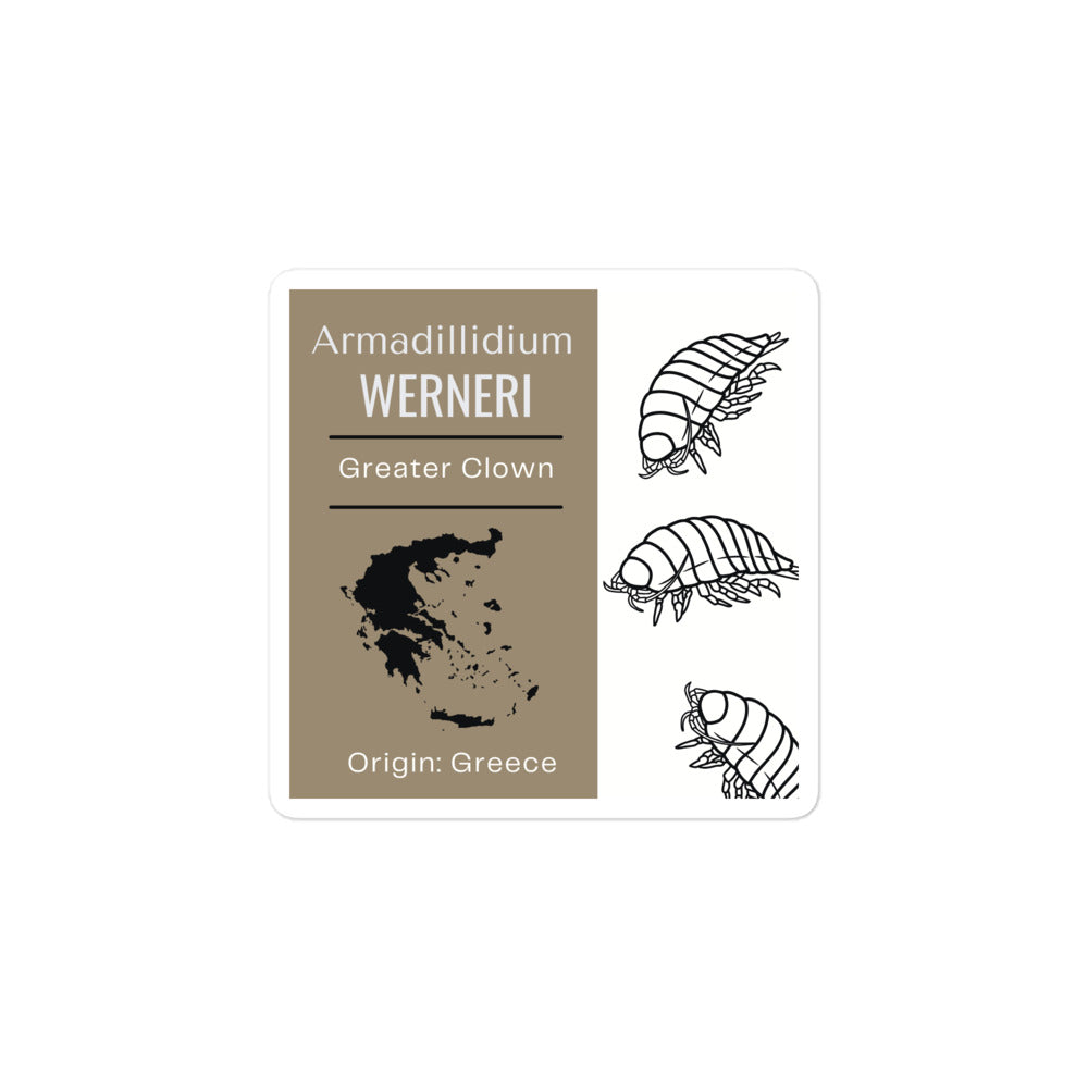 Label for Armadillidium werneri - Greater Clown