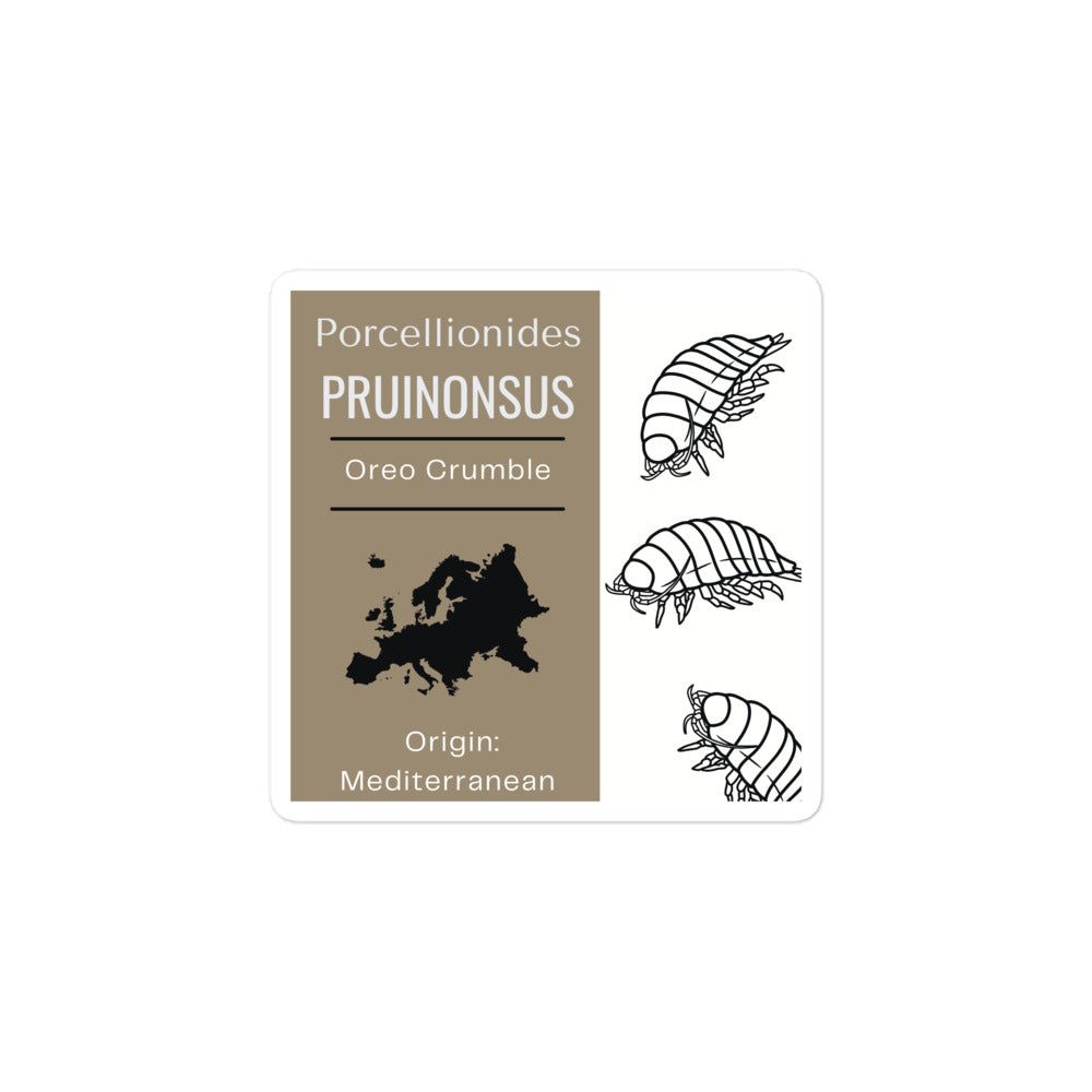 Label for Porcellionides pruinonsu - Oreo Crumble