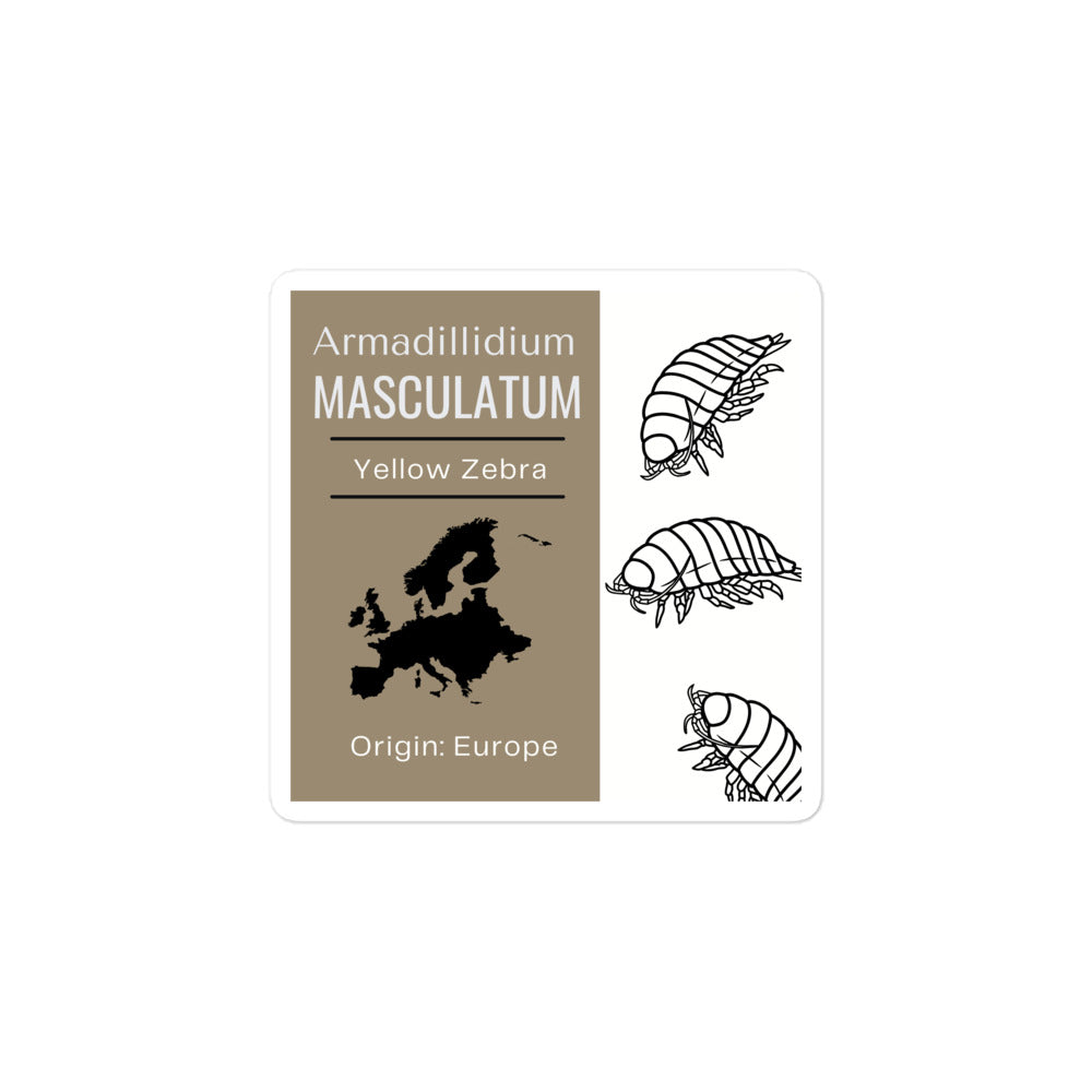 Label for Armadillidium masculatum - Yellow Zebra