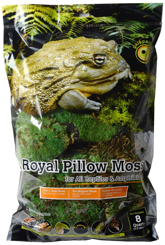 Galapagos Royal Pillow Moss Clumps