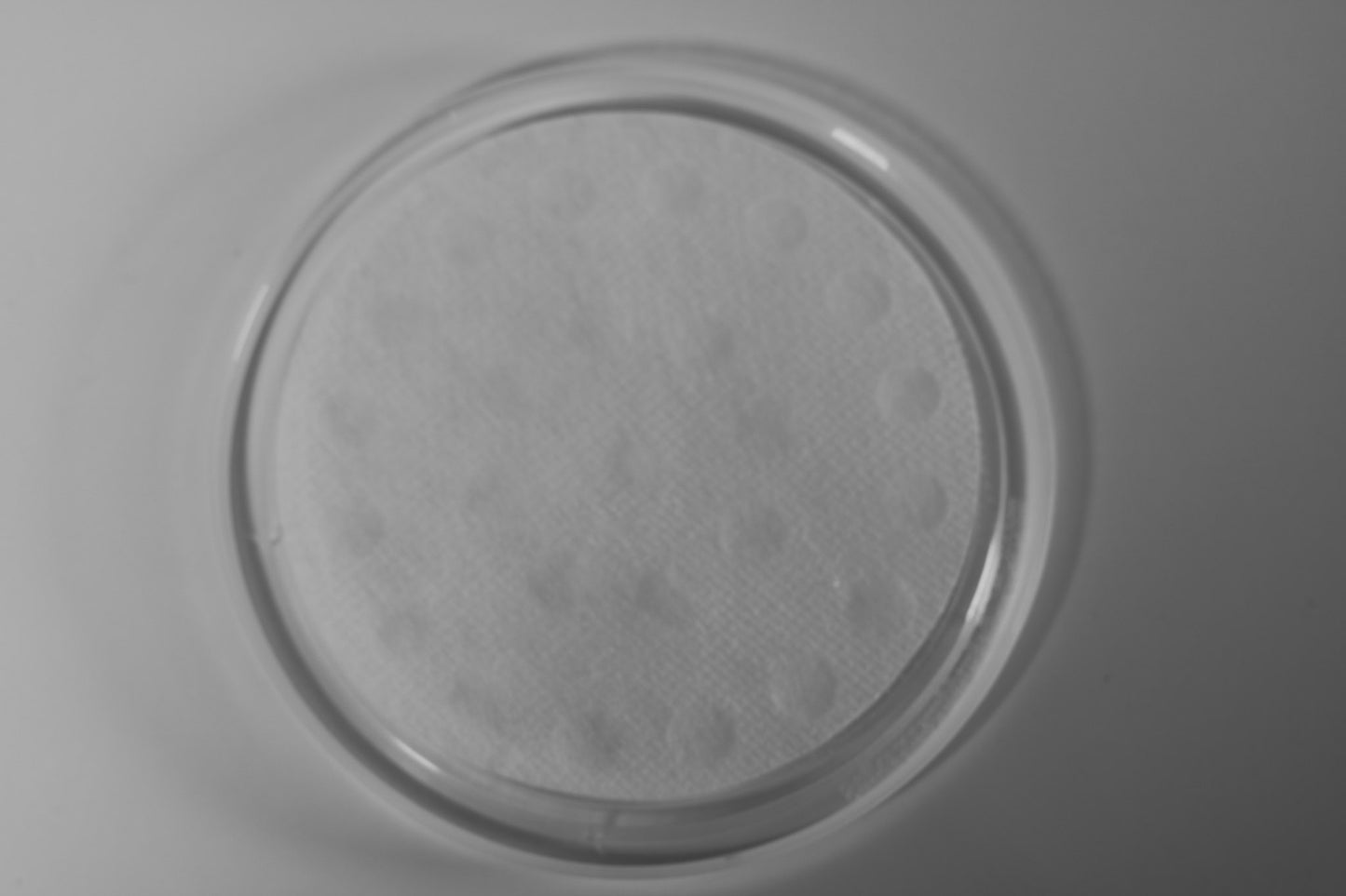 BreathEasy Mesh Polyfabric Lids