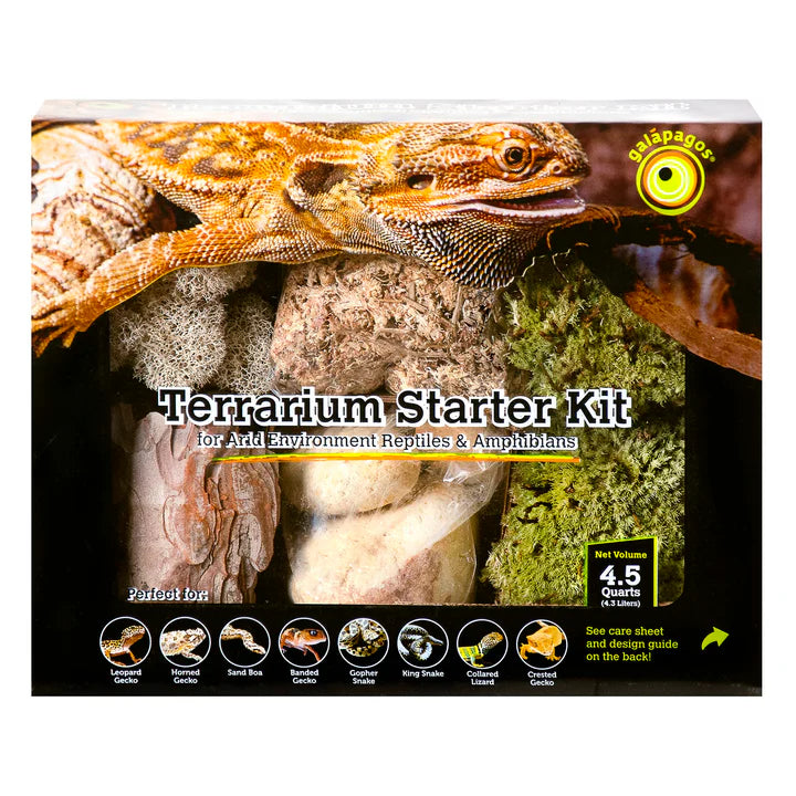 Galapagos Terrarium Starter Kits