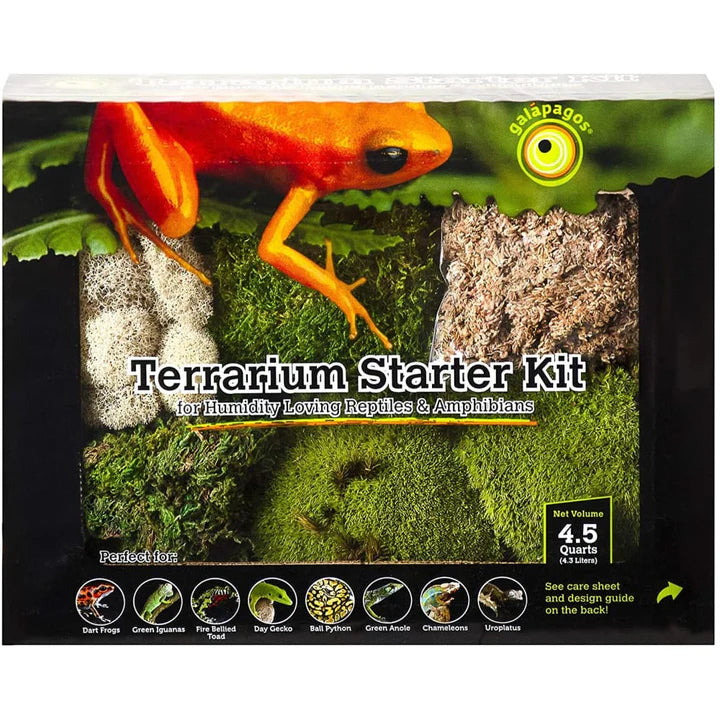 Galapagos Terrarium Starter Kits