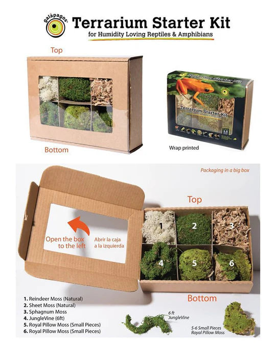 Galapagos Terrarium Starter Kits